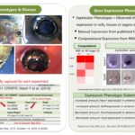 Reddy Anna: A Comprehensive Look at His Vision, Leadership, and Impact