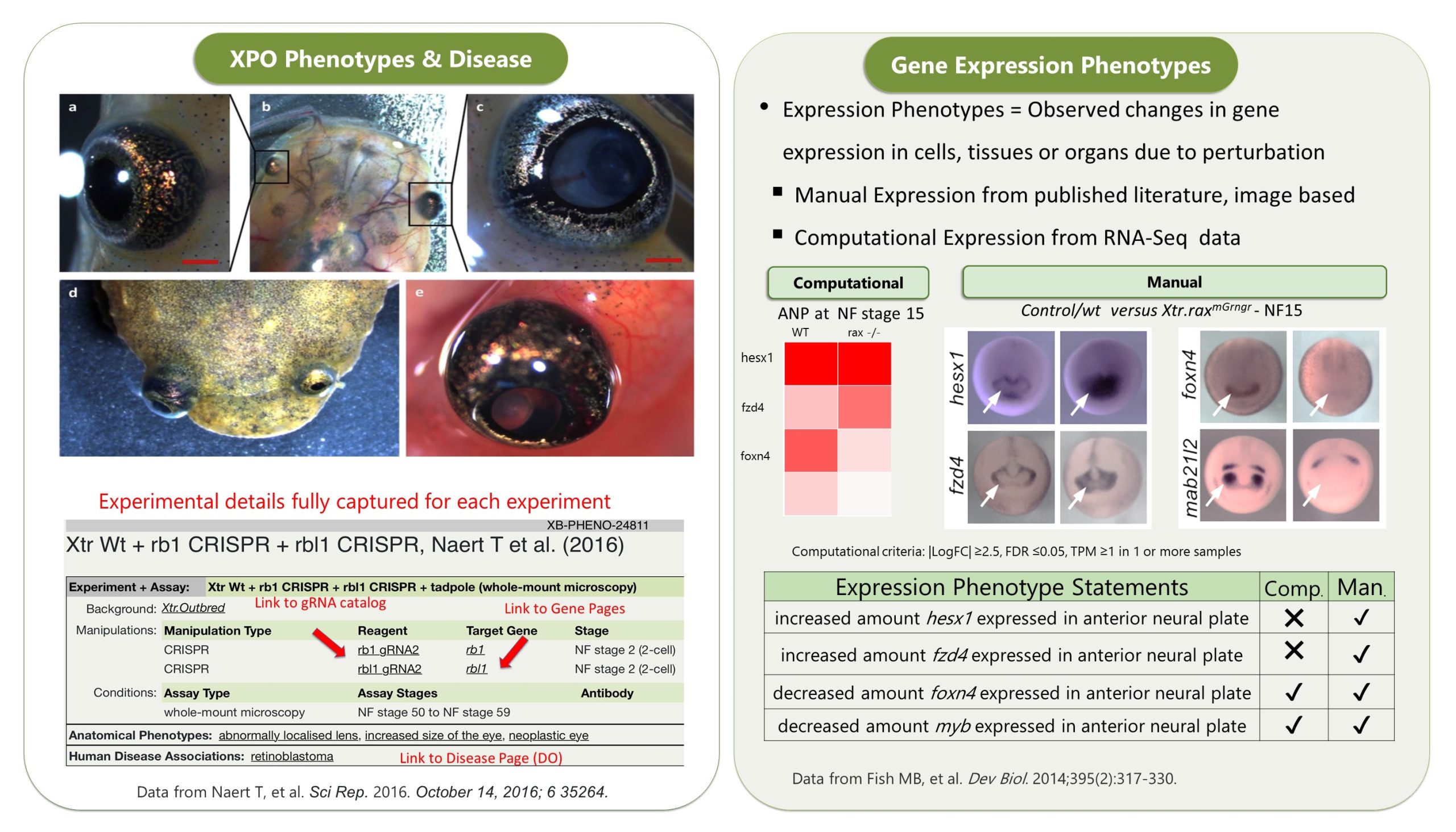 Reddy Anna: A Comprehensive Look at His Vision, Leadership, and Impact